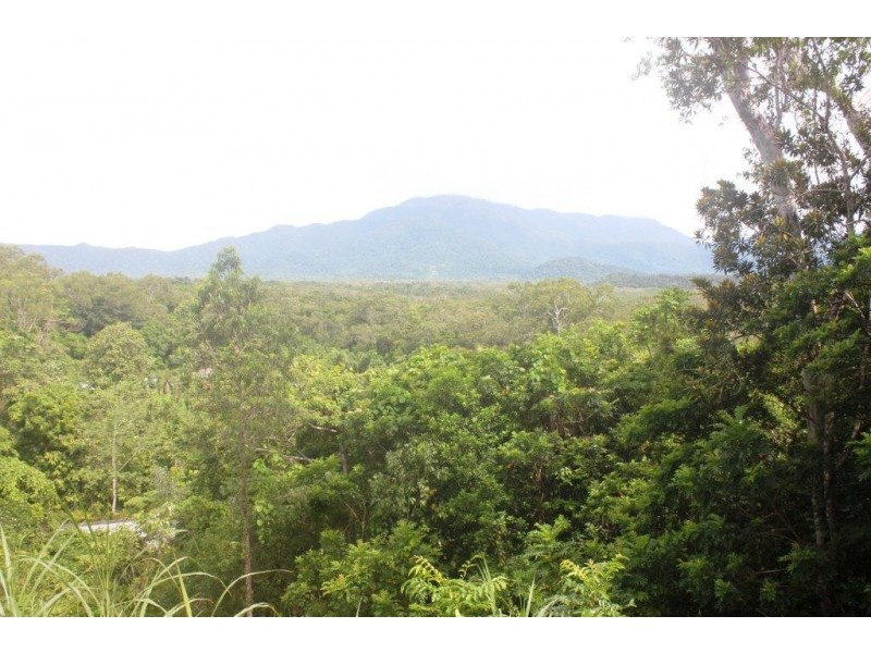 99 Rosewood Road COW BAY, Daintree QLD 4873