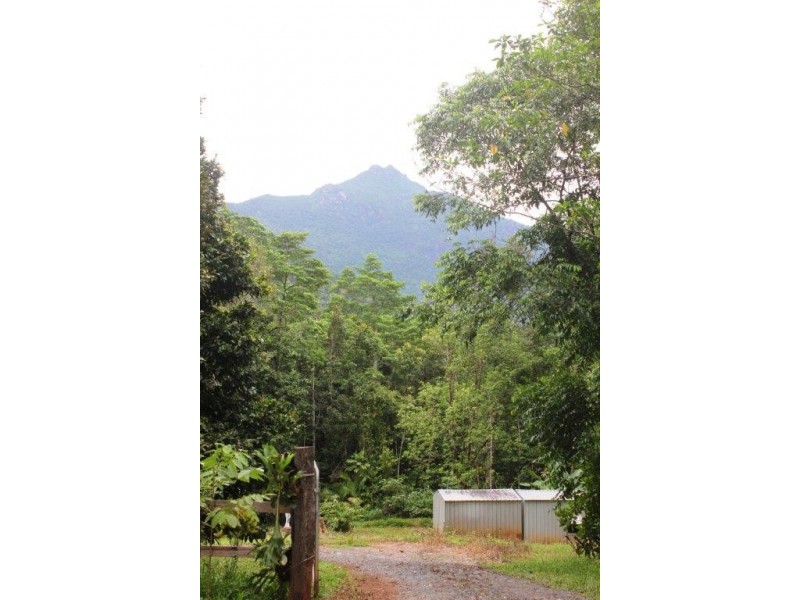 Lot 145 Carbeen Road DIWAN, Daintree QLD 4873
