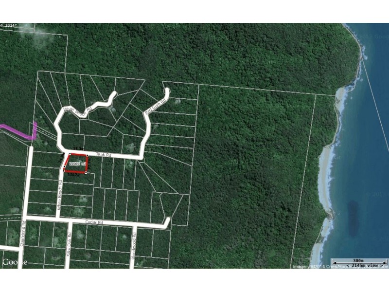 Lot 210 White Beech Road COW BAY, Daintree QLD 4873