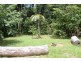 Lot 210 White Beech Road COW BAY, Daintree QLD 4873