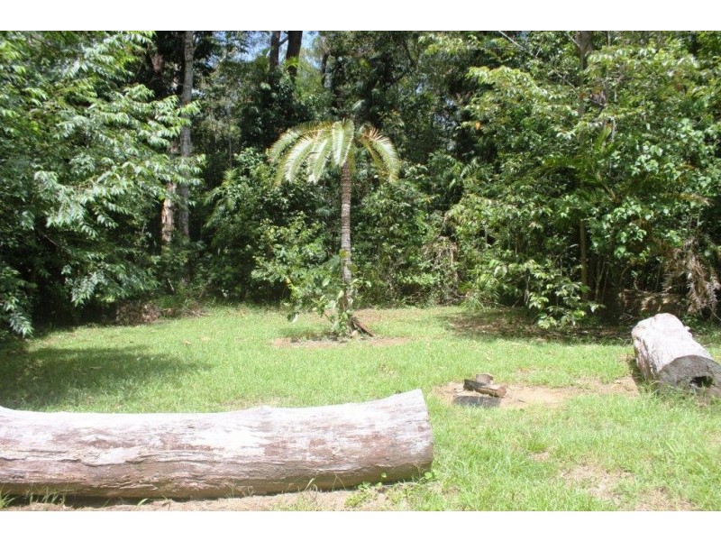 Lot 210 White Beech Road COW BAY, Daintree QLD 4873