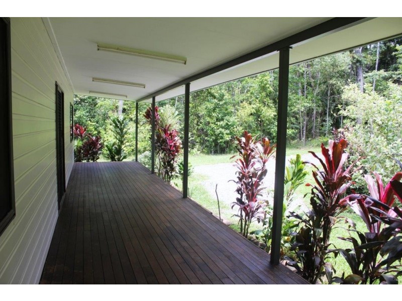 Lot 210 White Beech Road COW BAY, Daintree QLD 4873