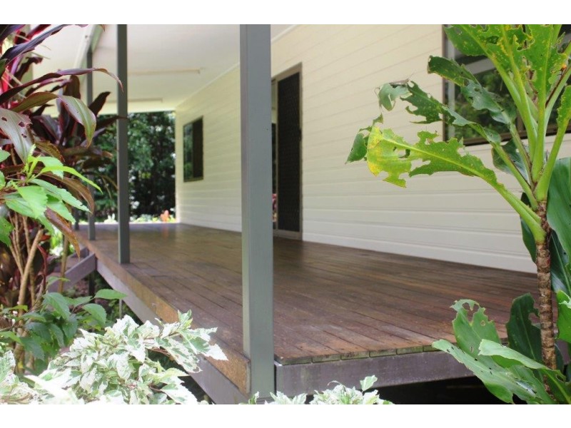 Lot 210 White Beech Road COW BAY, Daintree QLD 4873