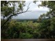300 Mowbray River Road, Mowbray QLD 4877