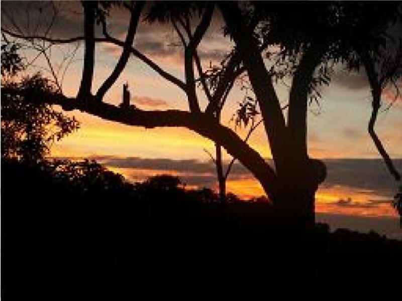 Lot 236 (96R) White Beech Road COW BAY, Daintree QLD 4873