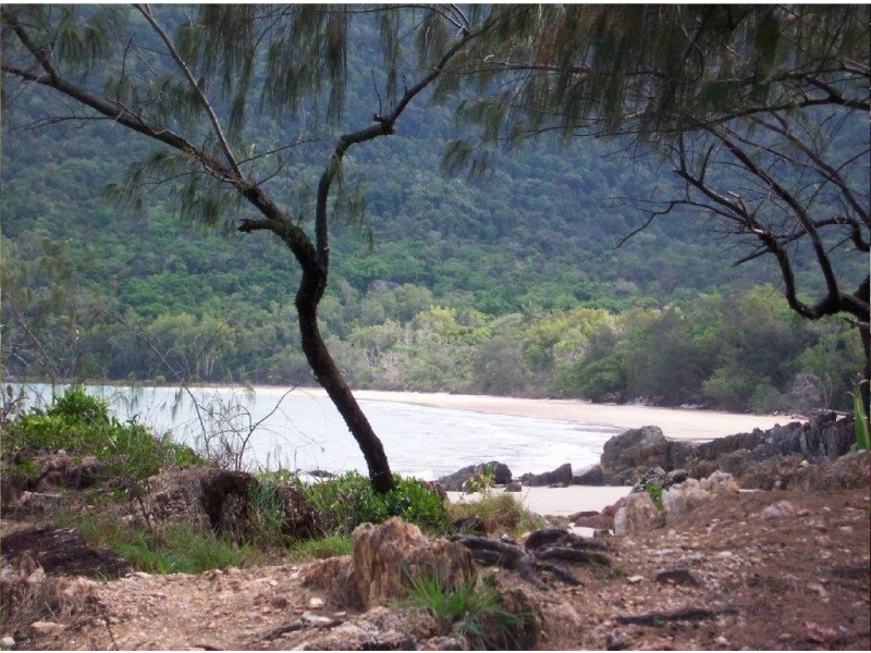 Lot 236 (96R) White Beech Road COW BAY, Daintree QLD 4873