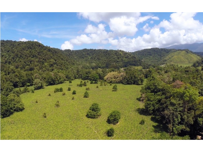 Lot 2 and 7 Stewart Creek Road (Stewart Creek Valley), Lower Daintree QLD 4873