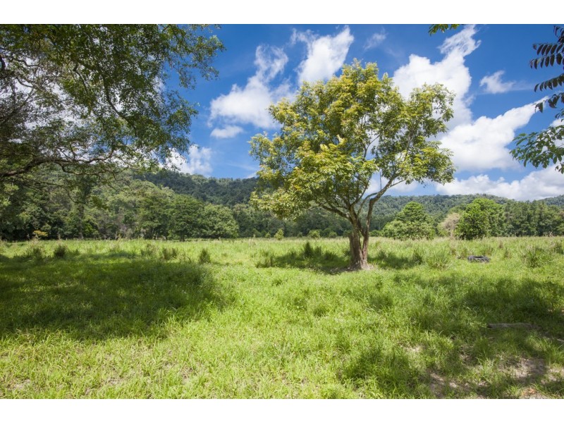 Lot 2 and 7 Stewart Creek Road (Stewart Creek Valley), Lower Daintree QLD 4873