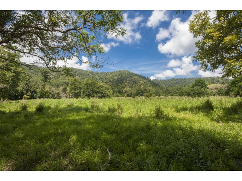 Lot 2 and 7 Stewart Creek Road (Stewart Creek Valley), Lower Daintree QLD 4873