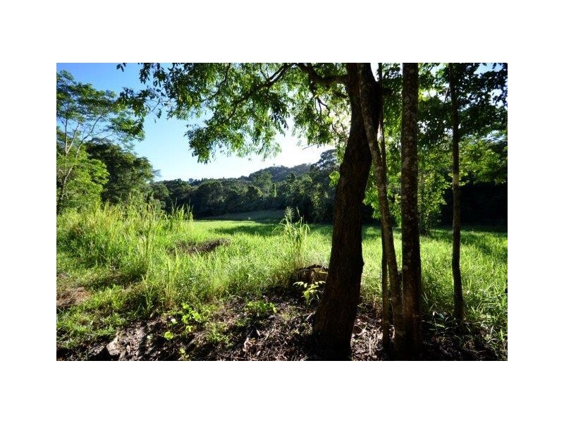 Lot 2 and 7 Stewart Creek Road (Stewart Creek Valley), Lower Daintree QLD 4873