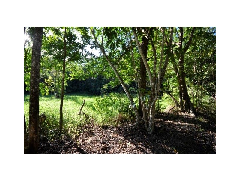 Lot 2 and 7 Stewart Creek Road (Stewart Creek Valley), Lower Daintree QLD 4873
