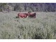 Lot 2 and 7 Stewart Creek Road (Stewart Creek Valley), Lower Daintree QLD 4873