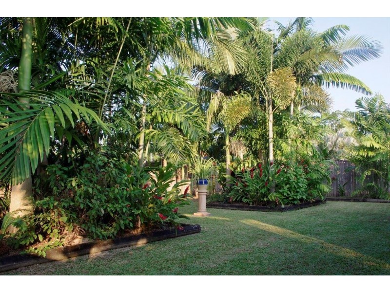 11 Forest Glen Drive, Mossman QLD 4873