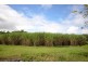 Lot 8 Captain Cook Highway, Port Douglas QLD 4877