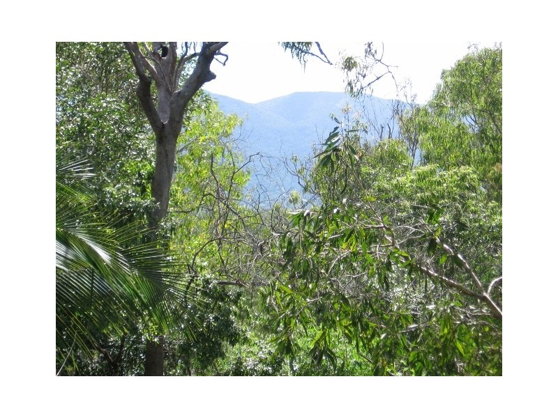 163 McLean Bridge Road, Julatten QLD 4871