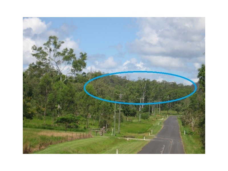 163 McLean Bridge Road, Julatten QLD 4871