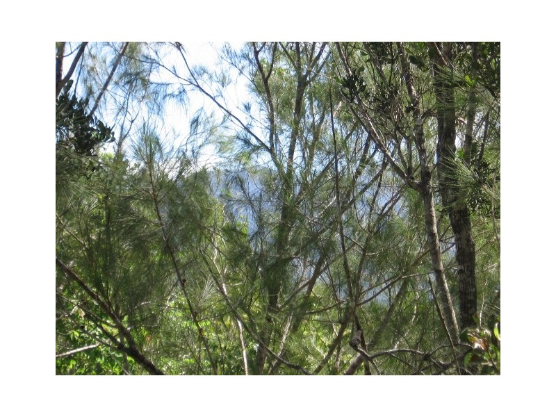 163 McLean Bridge Road, Julatten QLD 4871