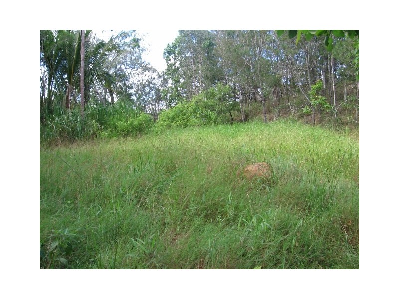 163 McLean Bridge Road, Julatten QLD 4871