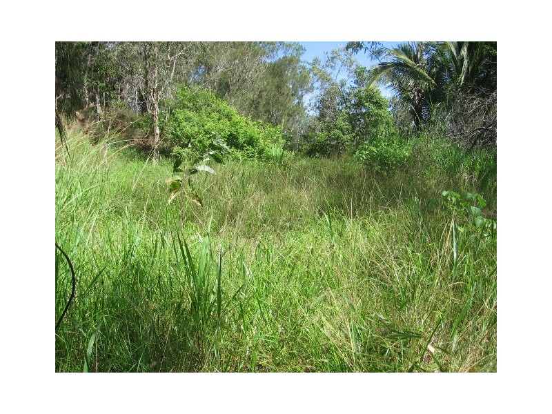 163 McLean Bridge Road, Julatten QLD 4871