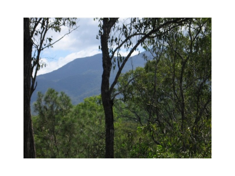 163 McLean Bridge Road, Julatten QLD 4871