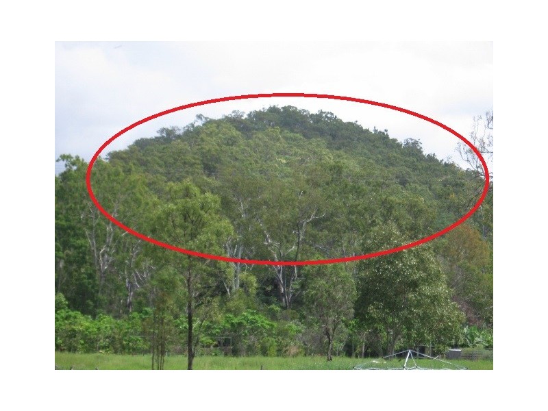 3017 Mulligan Highway, Mount Molloy QLD 4871