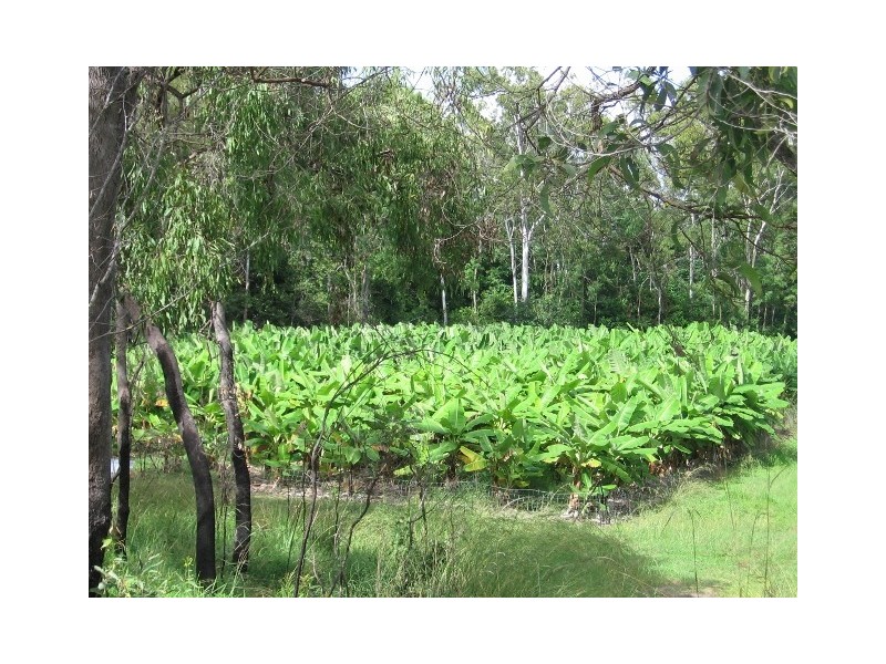 3017 Mulligan Highway, Mount Molloy QLD 4871