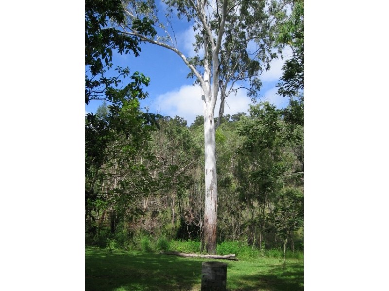 3017 Mulligan Highway, Mount Molloy QLD 4871