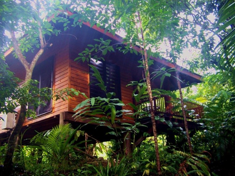 Lot 5 Nicole Drive CAPE TRIBULATION, Daintree QLD 4873