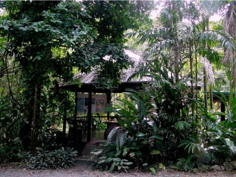 Lot 5 Nicole Drive CAPE TRIBULATION, Daintree QLD 4873