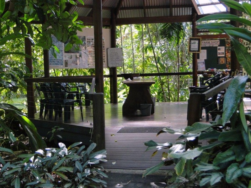 Lot 5 Nicole Drive CAPE TRIBULATION, Daintree QLD 4873