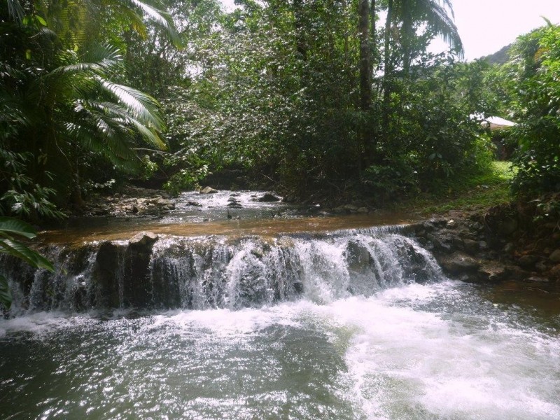 Lot 5 Nicole Drive CAPE TRIBULATION, Daintree QLD 4873
