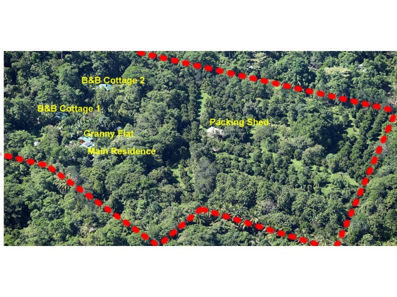 Lot 4and5 Nicole Drive CAPE TRIBULATION, Cape Tribulation QLD 4873