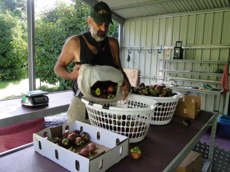 Lot 4and5 Nicole Drive CAPE TRIBULATION, Cape Tribulation QLD 4873
