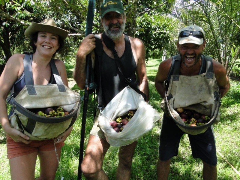 Lot 4and5 Nicole Drive CAPE TRIBULATION, Cape Tribulation QLD 4873