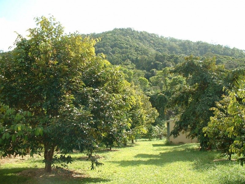 Lot 4and5 Nicole Drive CAPE TRIBULATION, Cape Tribulation QLD 4873