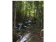 Lot 4and5 Nicole Drive CAPE TRIBULATION, Cape Tribulation QLD 4873