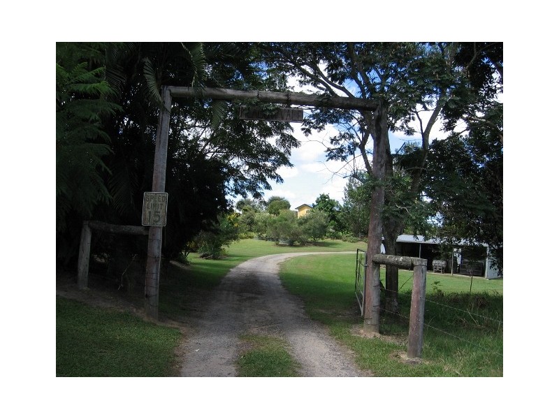 1107 Euluma Creek Road, Julatten QLD 4871