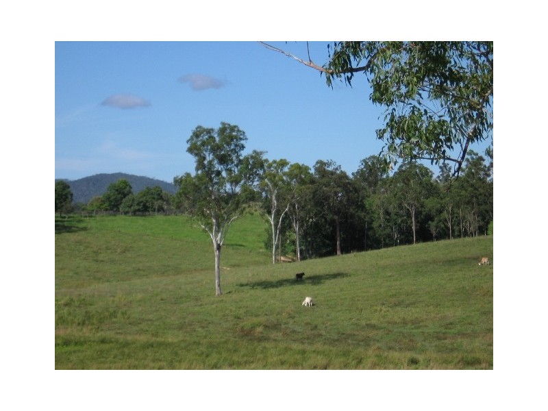 1107 Euluma Creek Road, Julatten QLD 4871
