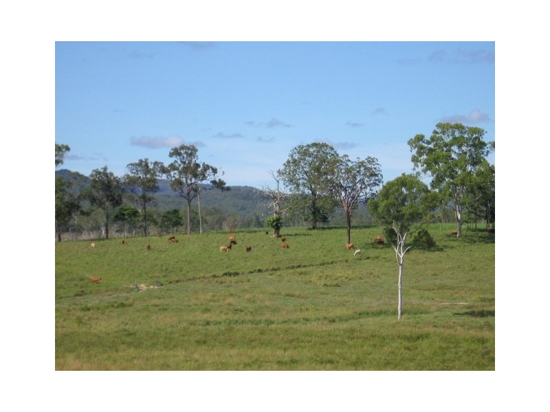 1107 Euluma Creek Road, Julatten QLD 4871