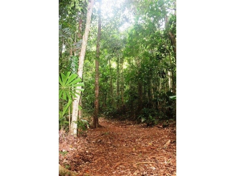 Lot 516 Silver Ash Road COW BAY, Daintree QLD 4873