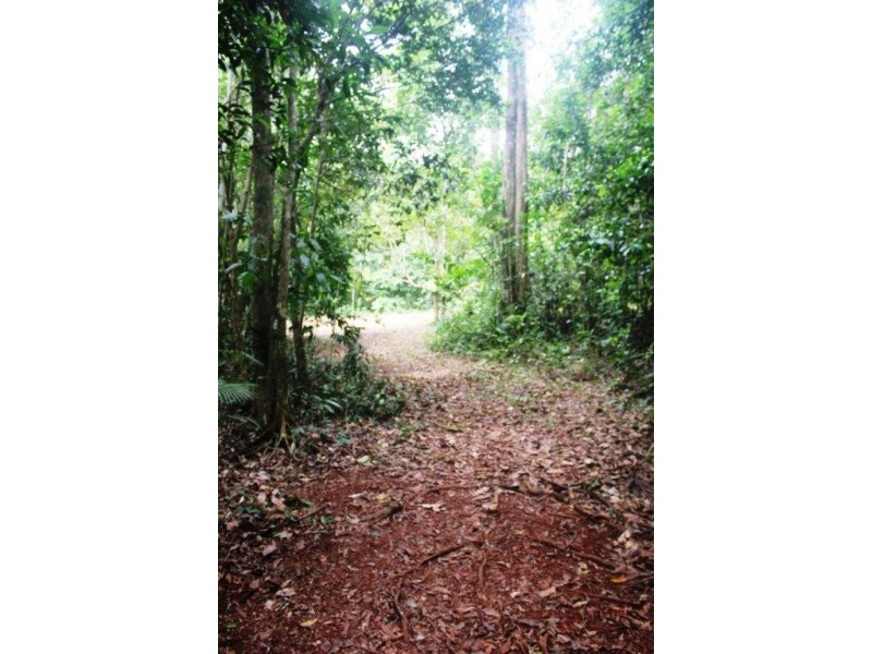 Lot 516 Silver Ash Road COW BAY, Daintree QLD 4873