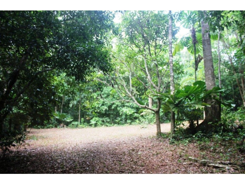 Lot 516 Silver Ash Road COW BAY, Daintree QLD 4873