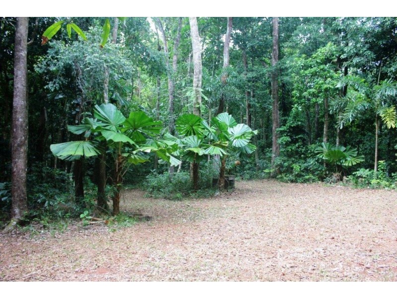 Lot 516 Silver Ash Road COW BAY, Daintree QLD 4873