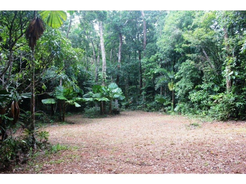 Lot 516 Silver Ash Road COW BAY, Daintree QLD 4873