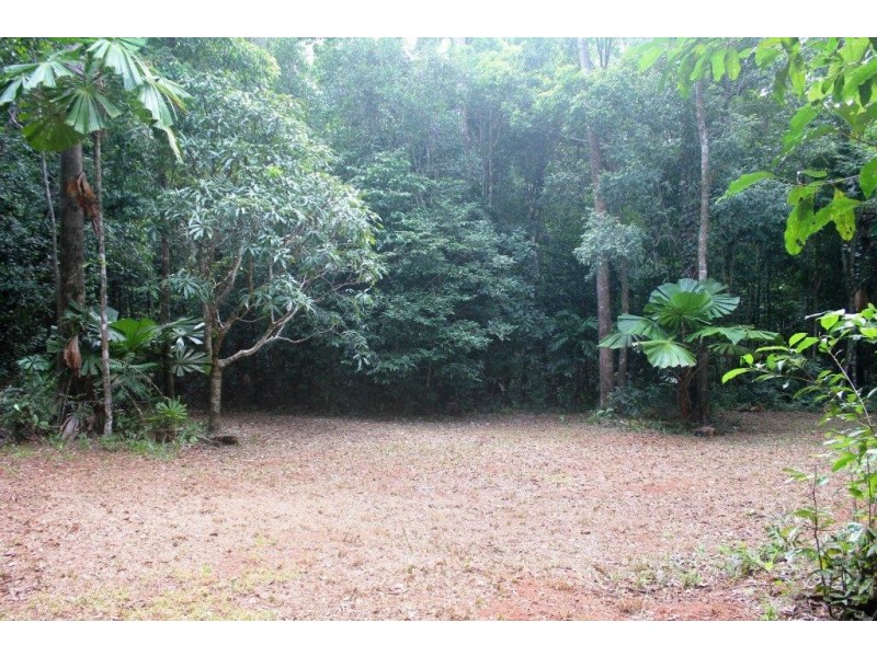 Lot 516 Silver Ash Road COW BAY, Daintree QLD 4873