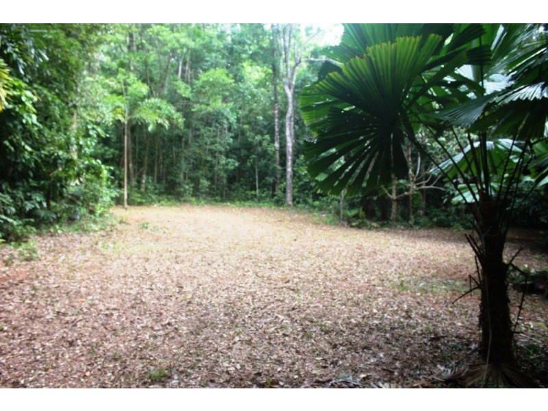 Lot 516 Silver Ash Road COW BAY, Daintree QLD 4873