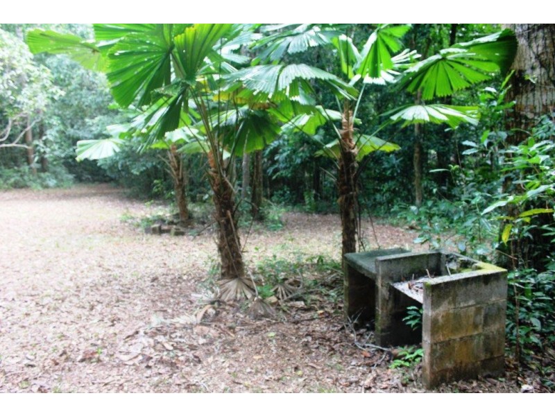 Lot 516 Silver Ash Road COW BAY, Daintree QLD 4873