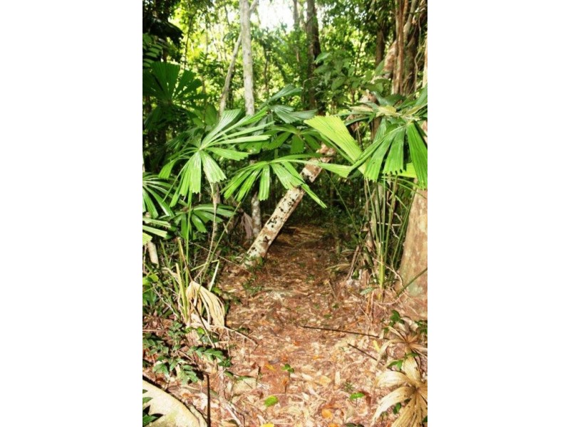 Lot 516 Silver Ash Road COW BAY, Daintree QLD 4873