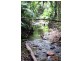 Lot 516 Silver Ash Road COW BAY, Daintree QLD 4873