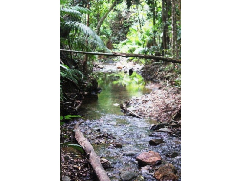 Lot 516 Silver Ash Road COW BAY, Daintree QLD 4873